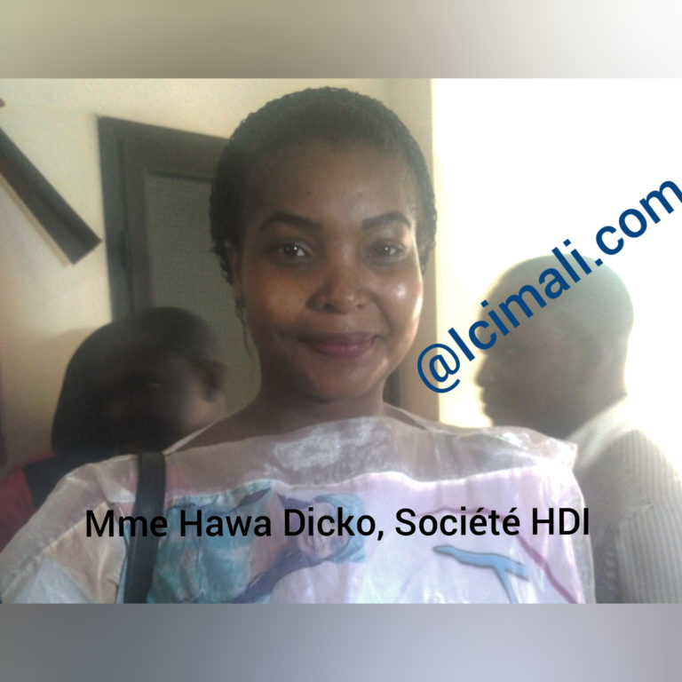 hawa dicko, société hdi