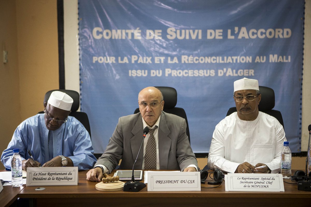 comité-suivi-accord-mali