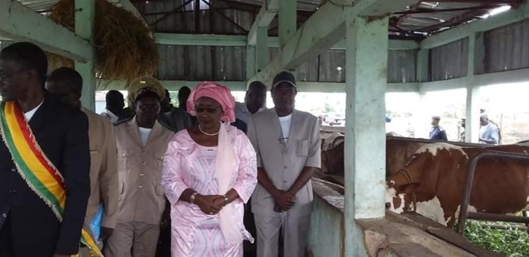 Kané Rokia Maguiraga ministre-descend terrain-PROJET D'APPUI AU PASTORALISME AU SAHEL -