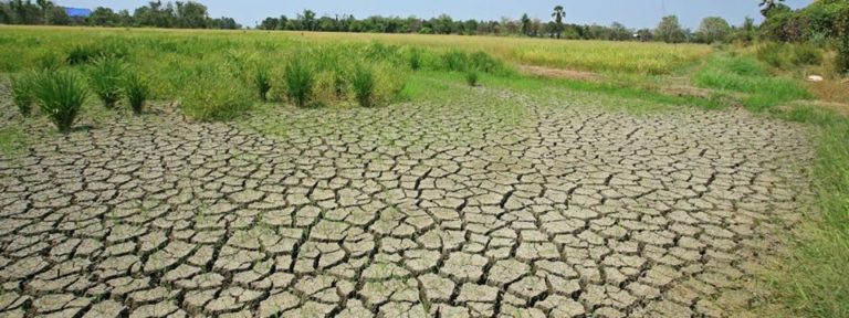 Sol Mali - Journée mondiale