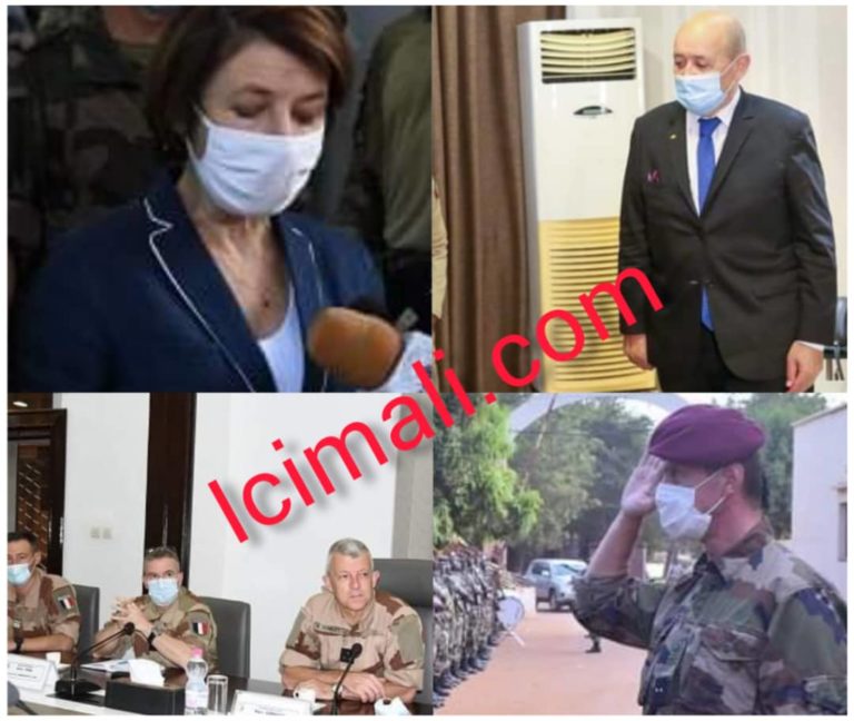 Ballets autoridités françaises Mali_Jean Ives Le Drian_Parly