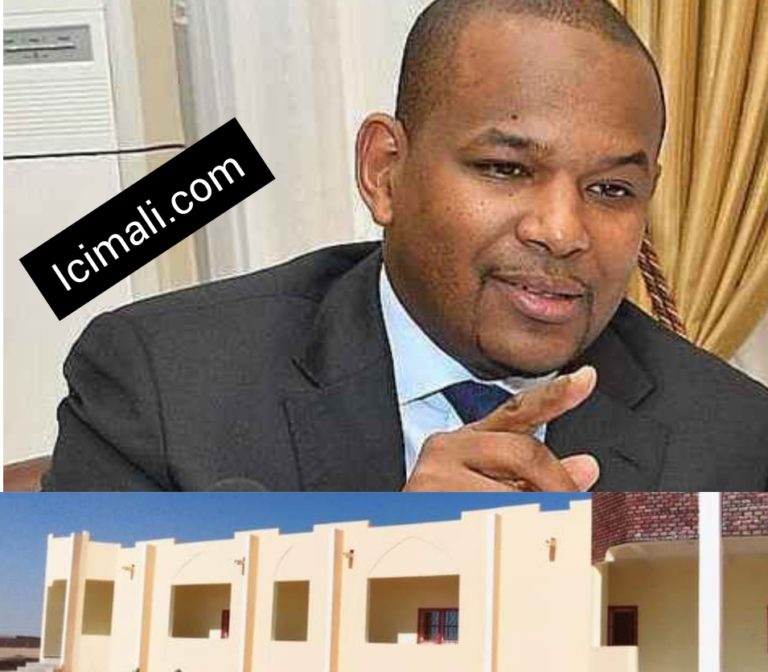 Dr Boubou Cissé_ ancien Premier Ministre_ Pm_ Mali