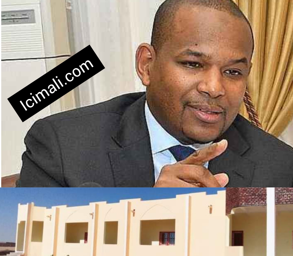 Dr Boubou Cissé_ ancien Premier Ministre_ Pm_ Mali