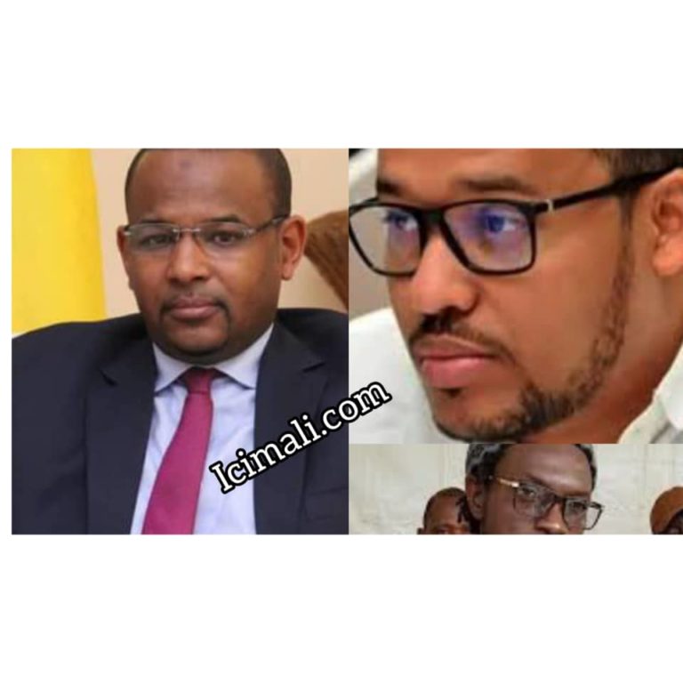 Affaire déstabilisation de la transition Mali- Boubou Cissé-Ras Bath-Vital Robert Diop