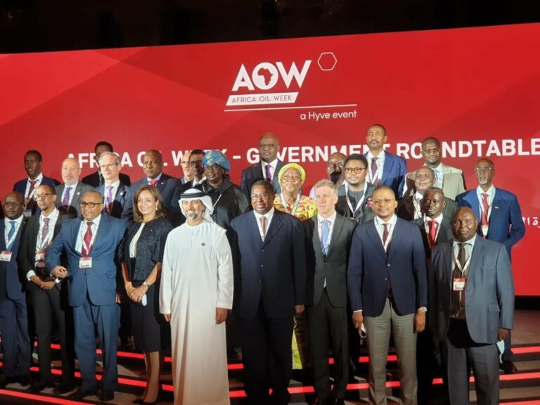 1ère édition de « Future Energie en Afrique » et la 27ème conférence de la semaine Africaine du pétrole à Dubaï