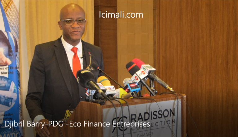 Djibril- Barry-PDG -Eco -Finance- Entreprises