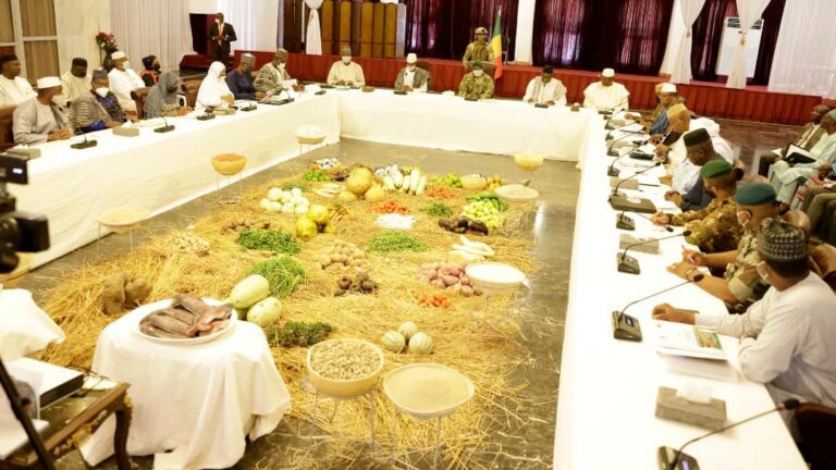 12e Session du Conseil Supérieur de l’Agriculture Mali