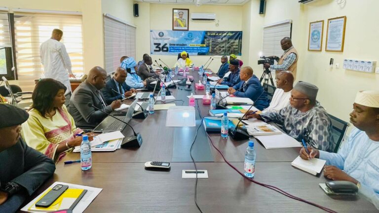 Aéronautiques nationales du Mali : Bilan des activités menées et perspectives