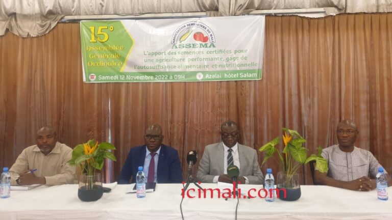 Selon Drissa Coulibaly, la création de l’ASSEMA, le 24 décembre 2002, et son officialisation suivant le récépissé N°121/MATCL-DNI du 21 février 2003, émane du souci des opérateurs privés, des représentants des firmes multinationales semencières, des représentants d'organisations paysannes professionnelles et des personnes physiques et morales investies dans les opérations de productions semencières de professionnaliser le secteur semencier à tous les niveaux.