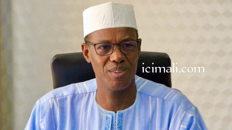 L’édition 2022 de la JAS a pour thème : « Renforcer les systèmes de données en modernisant la production et l’utilisation des statistiques agricoles : comment mieux accompagner les politiques et améliorer la résilience de l’agriculture, la nutrition et la sécurité alimentaire en Afrique ».