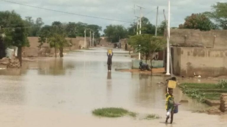 Cercle de Tenenkou : Les habitants accusés à tort d’être terroristes