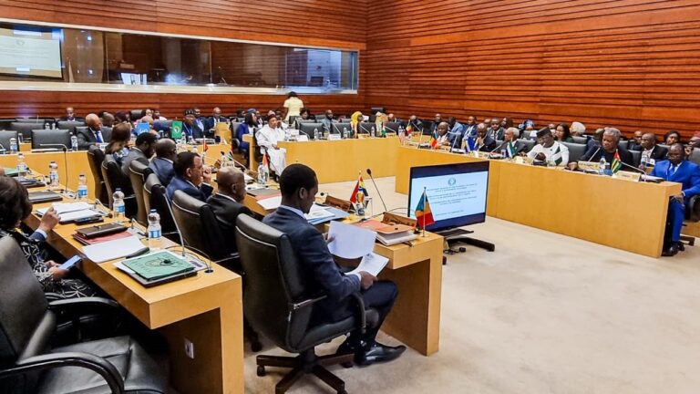 Ce Sommet extraordinaire a été convoqué pour examiner les progrès réalisés dans les processus de transition au Burkina Faso, en Guinée et au Mali, ainsi que l’état de préparation des élections au Nigeria, en Sierra Leone et au Liberia. Ledit Sommet a également délibéré sur l’état d’avancement de la mise en place d'une force régionale de lutte contre le terrorisme dont le mandat doit inclure la restauration de l'ordre constitutionnel. Il a également examiné le rapport de la 23ème session du Dialogue politique entre la CEDEAO et l’UE au niveau ministériel, tenue à Bruxelles, les 6 et 7 février 2023.