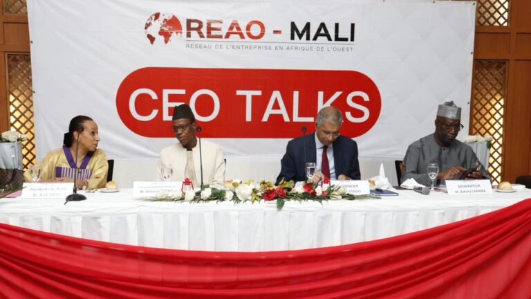 Au cours de la rencontre le ministre de l'Économie et des Finances a entretenu l’assistance sur l’impact des crises multidimensionnelles le plan économique social et budgétaire que le Mali connaît ces dernières années. Malgré le contexte national et international difficile, le Gouvernement a entrepris de nombreuses initiatives dans le sens d’impulser une nouvelle dynamique et d’amorcer la relance de l’économie notamment la reprise des activités du secteur privé.