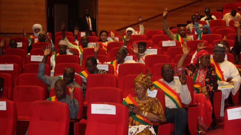 Ce projet, présenté par le Ministre du Développement Rural, M. Modibo KEITA, vise à renforcer la résilience des communautés de base face aux changements climatiques et à promouvoir la diversification économique. L'adoption du projet par 137 voix pour, 1 abstention et 0 contre témoigne de son importance et de son soutien unanime.