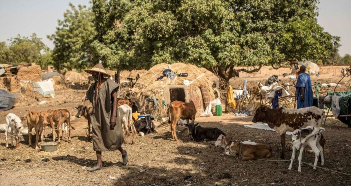 Dans le contenu ci-dessous, la réplique du Gouvernement au Rapport des Nations Unies sur les évènements survenus dans le village de Moura (commune de Tougé-Mourari, cercle de Djenné, région de Mopti) au centre du Mali, du 27 au 31 mars 2022de Moura, précédé du Résumé exécutif du rapport.