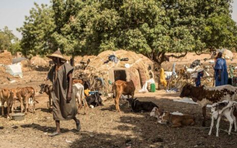 Dans le contenu ci-dessous, la réplique du Gouvernement au Rapport des Nations Unies sur les évènements survenus dans le village de Moura (commune de Tougé-Mourari, cercle de Djenné, région de Mopti) au centre du Mali, du 27 au 31 mars 2022de Moura, précédé du Résumé exécutif du rapport.