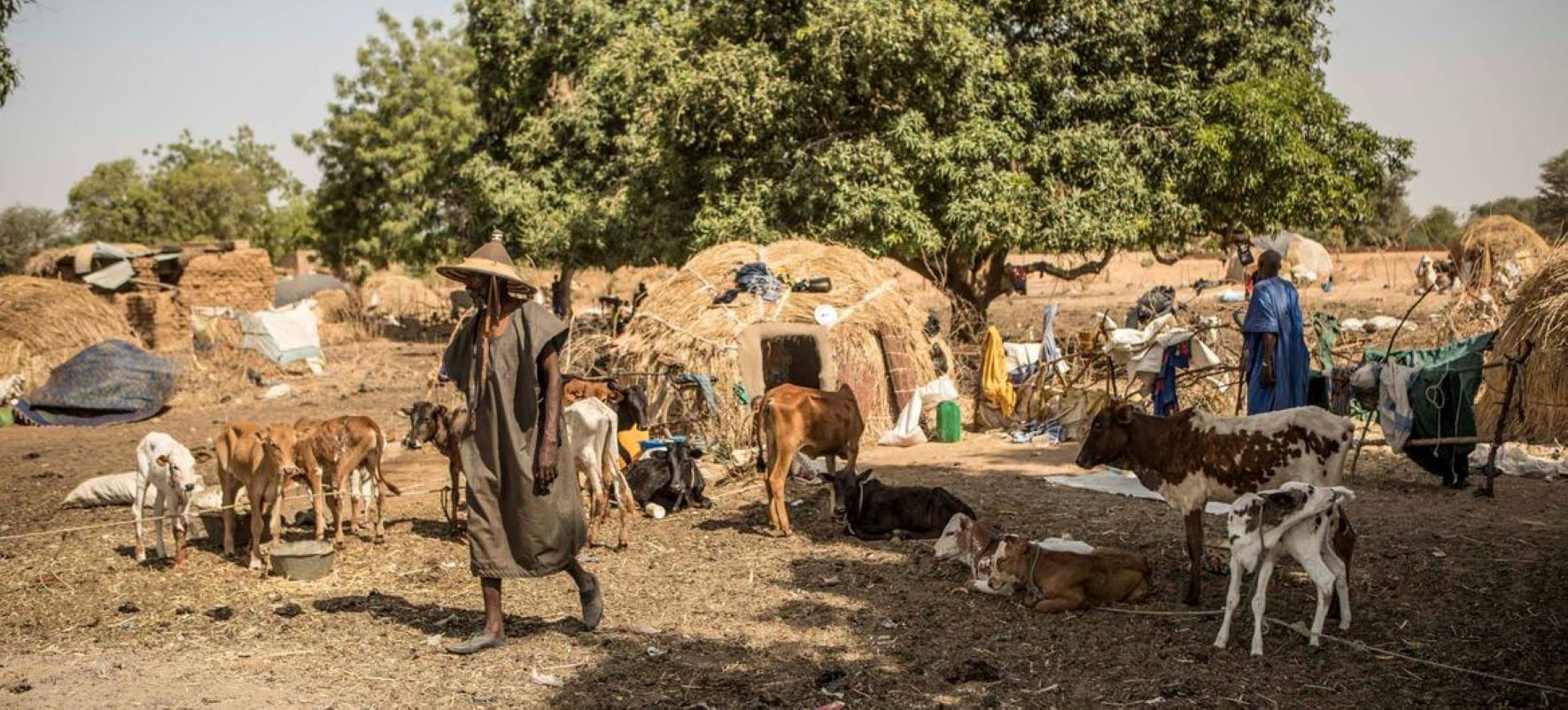 Dans le contenu ci-dessous, la réplique du Gouvernement au Rapport des Nations Unies sur les évènements survenus dans le village de Moura (commune de Tougé-Mourari, cercle de Djenné, région de Mopti) au centre du Mali, du 27 au 31 mars 2022de Moura, précédé du Résumé exécutif du rapport.