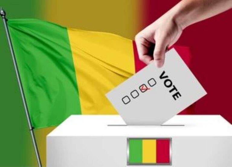 Ledit décret portant convocation du collège électoral, ouverture et clôture de la campagne électorale à l’occasion du référendum constitutionnel a été lu sur la télévision nationale, par colonel Abdoulaye MAIGA, Ministre d'État, Ministre de l'Administration Territoriale et de la Décentralisation, Porte-Parole du Gouvernement.