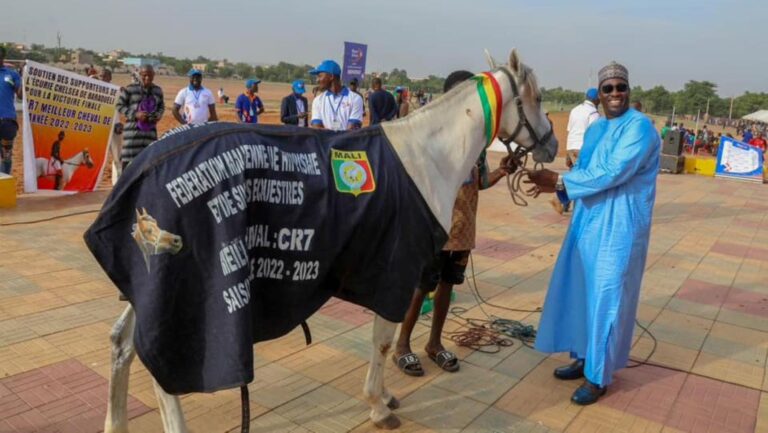 Sur les 15 chevaux alignés au départ des Cracks, c’est CR7 monté par Mémé Haïdara qui a remporté le Grand Prix de la Nation. Et cela pour la 5ème fois consécutive.