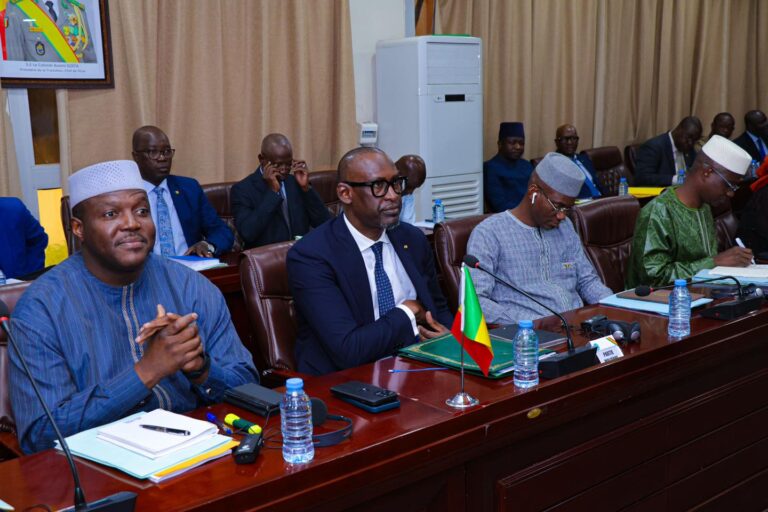 Afin de gérer de manière globale le processus de retrait, les deux parties ont convenu de mettre en place des groupes de travail conjoints. Le gouvernement a prévu des mécanismes spécifiques, tels qu'un groupe de travail chargé d'atténuer l'impact socio-économique du retrait de la MINUSMA et de pérenniser les services sociaux de base, ainsi qu'une cellule de crise pour la gestion des situations d'urgence. Ce groupe de travail, en charge de la thématique cruciale de l'atténuation de l'impact du retrait, sera dirigé par le Ministre d'État, Ministre de l'Administration Territoriale et de la Décentralisation, le Ministre de l'Économie et des Finances et la Ministre de l'Entreprenariat National, de l'Emploi et de la Formation Professionnelle.