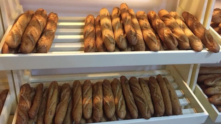 Parmi les problèmes majeurs rencontrés figurent le déficit organisationnel et de la formation qualifiante, le non-respect des normes environnementales, la concurrence déloyale, ainsi que les arrêts et fermetures de boulangeries en raison de créances impayées.