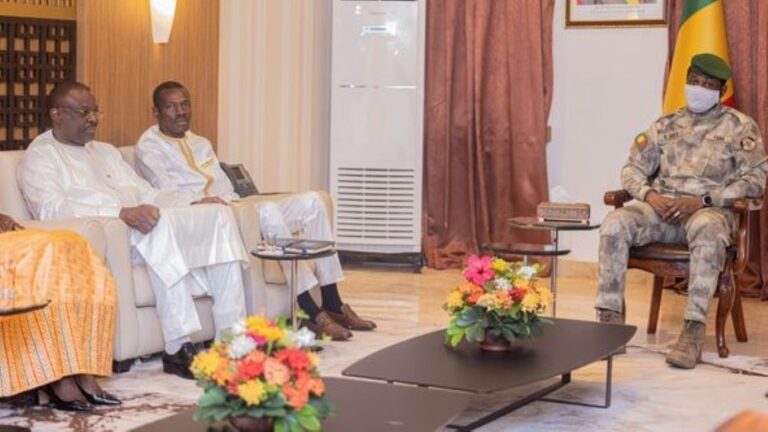 Selon Lalya Kamara, l'Afrique est un continent vulnérable qui n'est pourtant pas responsable des émissions de gaz à effet de serre provenant d'autres pays. Elle appelle à placer la résolution des problèmes climatiques au cœur des politiques de développement. « Nous devons parler d'une seule voix afin de porter haut les préoccupations du Sahel et trouver, avec le reste du monde, les moyens de résoudre ce problème climatique qui aura des répercussions sur la paix et la sécurité », a-t-elle conclu.