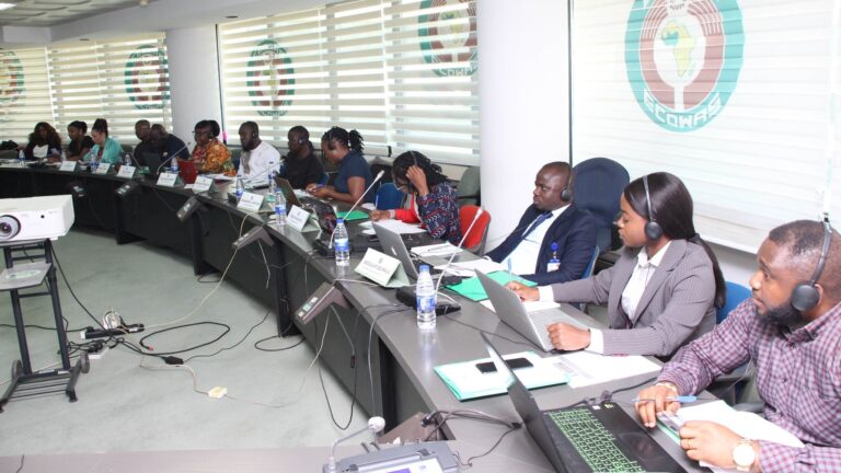 Le Commissaire Sow Sarr a souligné l'importance d'élargir le champ d'application du programme de volontaires de la CEDEAO à tous les États membres tout en faisant la lumière sur le prochain programme de l'organisation prévu pour 2024. Le Commissaire a insisté sur l'importance de tenir compte des besoins variés et des caractéristiques distinctes de chaque État membre, tout en assurant une répartition équitable des ressources selon les principes fondamentaux de la CEDEAO d'équité et d'équité.