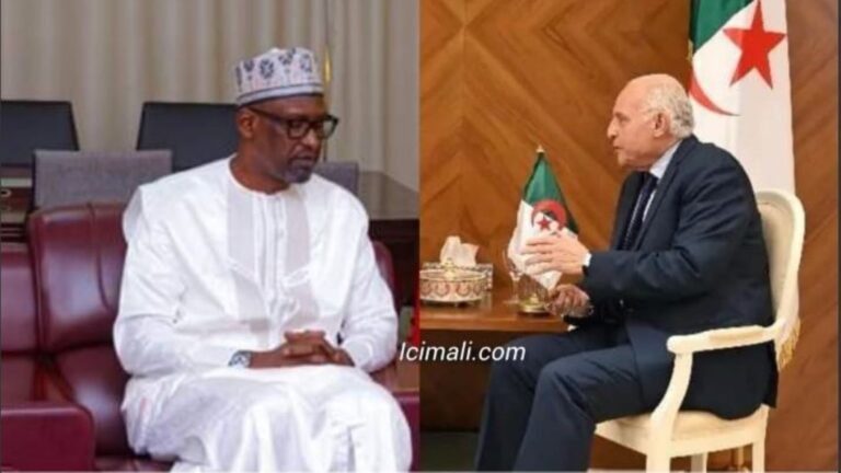 Les griefs du gouvernement malien concernent principalement les rencontres récurrentes en Algérie, aux plus hauts niveaux, avec des individus connus pour leur hostilité envers le gouvernement malien, ainsi qu'avec des mouvements signataires de l'accord pour la paix et la réconciliation au Mali. Ces mouvements, pourtant issus du processus d'Alger, sont accusés d'avoir choisi le camp des terroristes. Le ministre malien a averti que de telles actions risquent de nuire aux bonnes relations entre les deux pays.