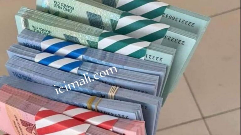 L'idée d'une alliance monétaire entre ces trois pays, dont les dirigeants actuels sont arrivés au pouvoir par la force, représenterait une rupture significative avec les autres pays de l'UEMOA, ainsi qu'avec la France, avec laquelle ils ont des différends. Le Mali, le Niger et le Burkina Faso font partie de ce bloc régional dont les pays utilisent une monnaie commune, le FCFA (XOF), adossé à l'euro avec une garantie de convertibilité assurée par la France.