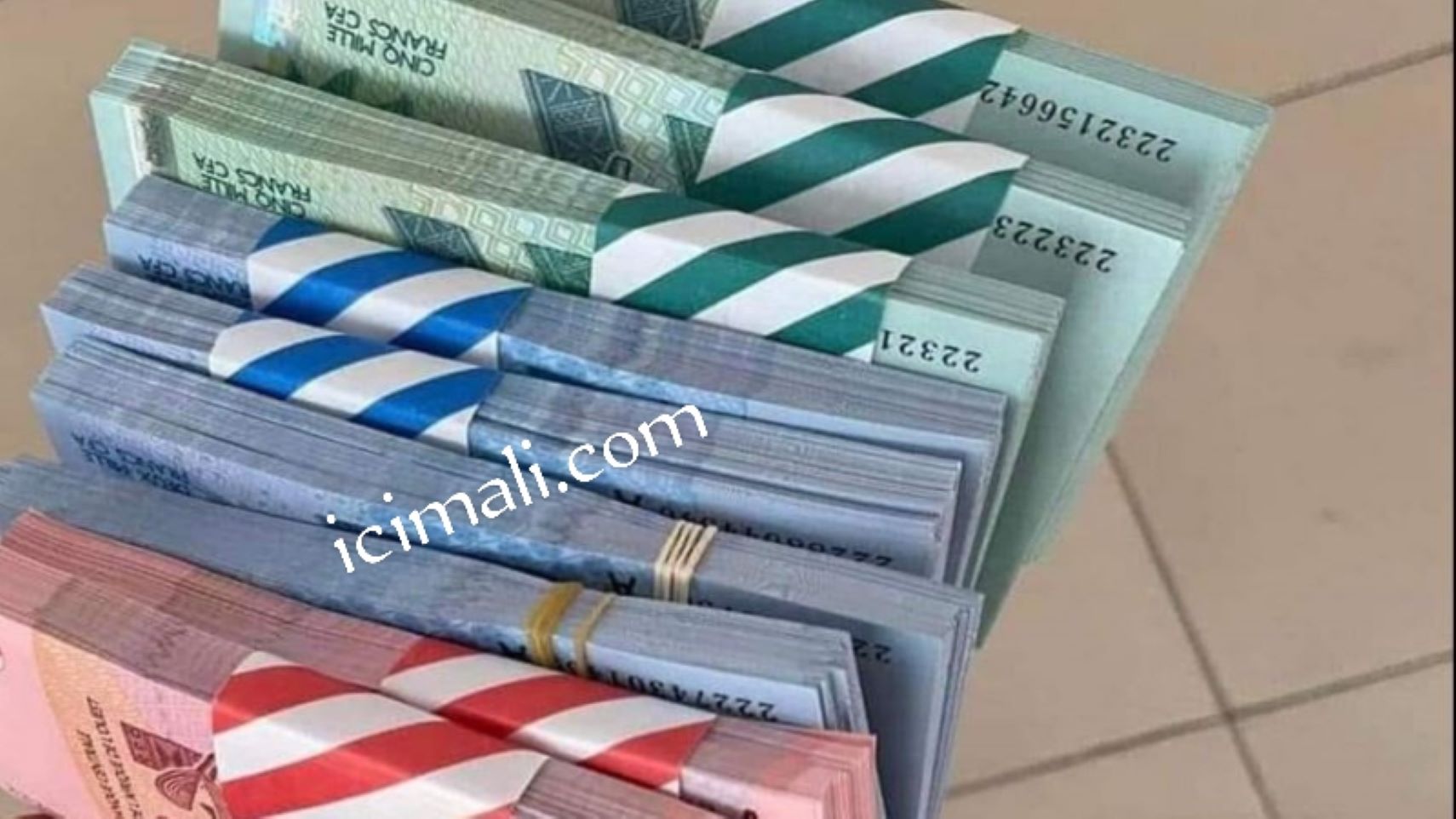 L'idée d'une alliance monétaire entre ces trois pays, dont les dirigeants actuels sont arrivés au pouvoir par la force, représenterait une rupture significative avec les autres pays de l'UEMOA, ainsi qu'avec la France, avec laquelle ils ont des différends. Le Mali, le Niger et le Burkina Faso font partie de ce bloc régional dont les pays utilisent une monnaie commune, le FCFA (XOF), adossé à l'euro avec une garantie de convertibilité assurée par la France.