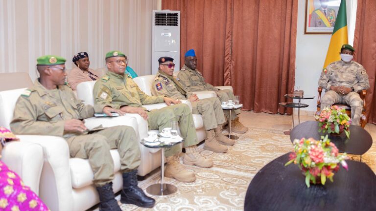 Le Colonel-Major Amadou Abdramane, Ministre de la Jeunesse, des Sports, des Arts et de la Culture du Niger, également membre du CNSP, a précisé qu'il s'agit bien d'une visite de courtoisie. « On est venu ici sur invitation de mon homologue, ministre de la Jeunesse et des Sports », a-t-il affirmé. Au cours de l'audience avec le Président de la Transition, les émissaires nigériens ont transmis les salutations de Son Excellence, le Général Abdourahamane TIANI, à son homologue malien. La délégation ministérielle a également saisi l'occasion pour féliciter le peuple malien pour l'instauration de cette Journée.