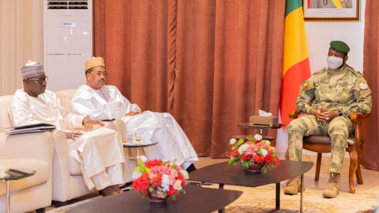 Cette rencontre, qui s'est déroulée au palais présidentiel de Koulouba, marque une étape significative dans le renforcement des liens économiques et énergétiques entre les deux pays voisins. L'accord vise à fournir 150 millions de litres de gasoil au Mali, une ressource essentielle pour alimenter les centrales électriques du pays.