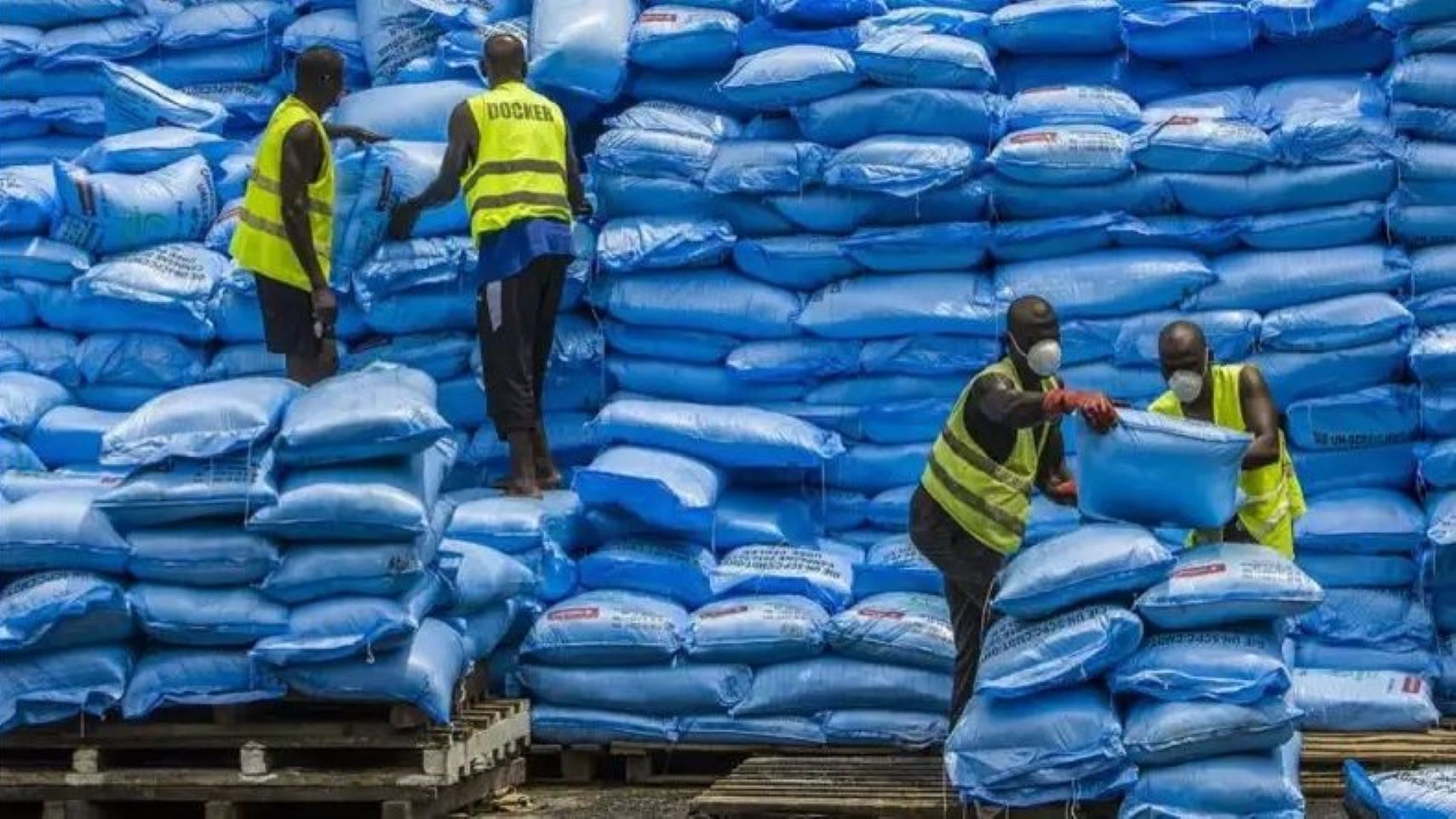 Les discussions ont mis en lumière la collaboration fructueuse avec la société russe "DEMETRA", avec laquelle les négociations avancent rapidement pour finaliser le processus de livraison des 50 000 tonnes de blé.