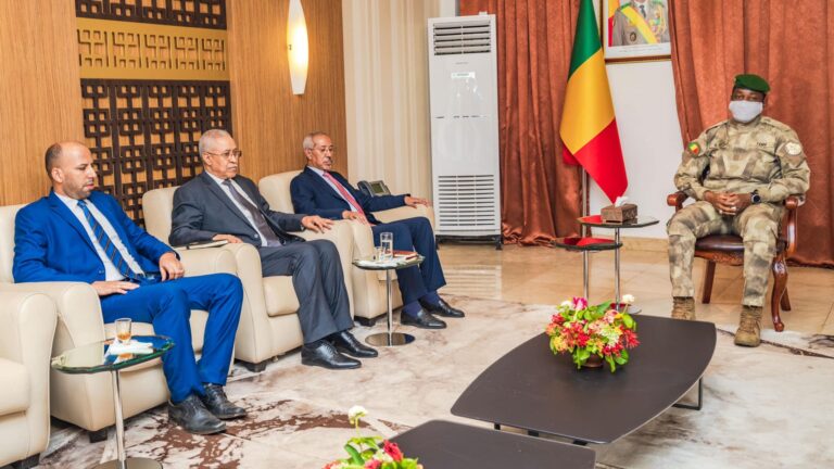 Lors de cette audience, le Ministre Ould Sidi a évoqué les relations fraternelles et historiques unissant les deux pays, soulignant que la préservation et le renforcement de ces liens distinctifs sont une responsabilité collective.