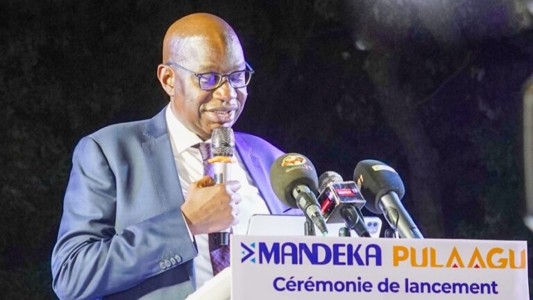 Le lancement de Mandenka et Pulaagu s'inscrit dans une dynamique plus large de développement des industries créatives et culturelles au Mali. En offrant une plateforme aux talents locaux de l'audiovisuel, ces chaînes ouvrent de nouvelles opportunités pour la jeunesse malienne, tant sur le plan artistique que professionnel.