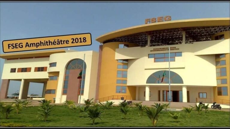 Selon les syndicalistes, la grève découle des défis croissants auxquels ils sont confrontés dans l'exercice de leurs fonctions. Parmi ceux-ci, l'augmentation drastique du nombre d'étudiants, passant de 45 000 à 60 000 en effectif théorique, pour une capacité d'accueil initiale de seulement 3 500 places. Cette surcharge conduit à un allongement des cycles de formation, certaines promotions devant désormais étendre leur cursus de 3 à 6 ans. De plus, le manque criant d'enseignants permanents a conduit à un recours massif à des vacataires pour combler les besoins pédagogiques et académiques.