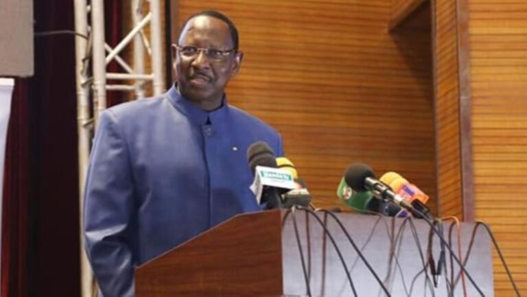 Mme Coulibaly a vertement critiqué le travail du HCME ainsi que du Conseil Supérieur de la Diaspora Malienne (CSDM), estimant qu'ils n'ont pas suffisamment répondu aux attentes et aspirations de la diaspora malienne. Pour elle, ces deux institutions sont devenues des sources de problèmes plutôt que des solutions, en raison de leurs querelles internes et de leur prétendue inaction.