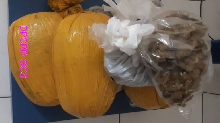 Lors de son interpellation, cette dame dealer identifiée par les initiales S. K avait en sa possession 260 sachets de kusch, 660 comprimés de tramadol, 250 mg, 8 sachets d’emballage Rizla.