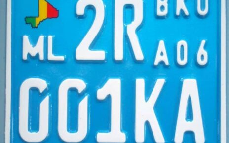 Les plaques d'immatriculation apposées aux véhicules et engins motorisés se présentent, à titre d'illustration pour le District de Bamako et la Région de Kayes, conformément aux figures rectangles ci-après : ML AA 025 AA BKD AD3 et ML AA 049 AA KAY CO2.