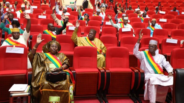 Ce projet de loi, initié par le Ministre de l'Économie et des Finances et adopté lors du Conseil des Ministres du 14 août 2024, vise à ratifier l'Ordonnance n°2024-011/PT-RM du 30 août 2024. Il constitue une réponse aux insuffisances relevées par les évaluations du Groupe Intergouvernemental d'Action contre le Blanchiment d'Argent en Afrique de l'Ouest (GIABA), menées entre 2017 et 2022. Ces évaluations avaient révélé des lacunes dans les dispositifs du Mali et des autres pays membres de l'UEMOA en matière de conformité technique et d’efficacité dans la lutte contre le blanchiment de capitaux et le financement du terrorisme.