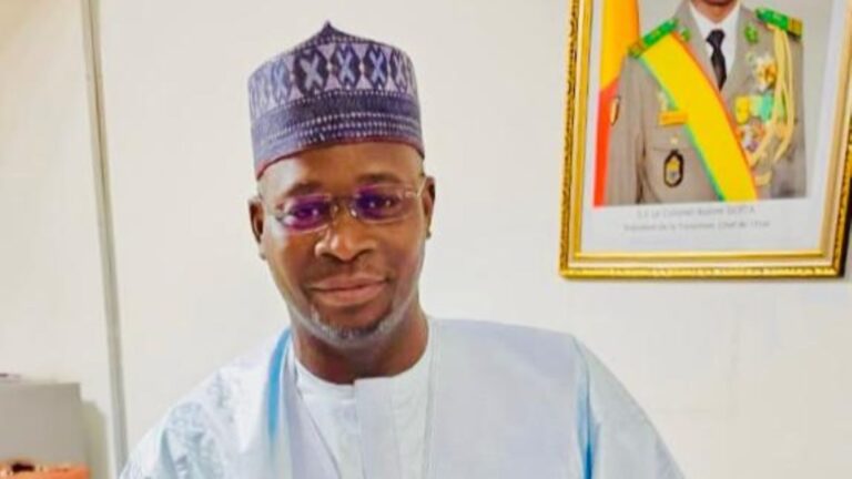 Né le 30 juillet 1973 à Léré, dans la région de Tombouctou, Hamadou Fall DIANKA a grandi dans une famille soucieuse de l’éducation et du développement. Il poursuit des études supérieures et obtient un Diplôme d’Études Supérieures Spécialisées (DESS) en Fiscalité de l’École Nationale des Finances Publiques de France (promotion 2011-2012).