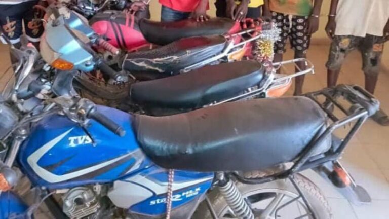 En effet, il s'agit d'un groupe de sept présumés malfrats dont trois auteurs opérant sur le terrain et quatre complices dont un receleur, interpellés et mis à la disposition de la Justice. Leurs identités sont ci-après : - B.H, âgé de 19 ans, cerveau de la bande ; - Y.D allias "Papou", âgé de 19 ans ; - T.D allias "Bah", âgé de 17 ans ; - D.T, âgé de 19 ans ; - Y.D, âgé de 17 ans ; -J.P.B, dit Paul, âgé de 19 ans ; - A.S, âgé de 21 ans.