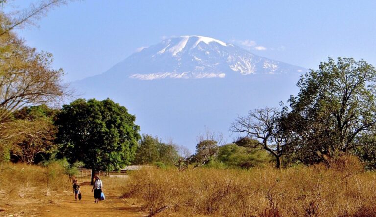 Pays semi-aride, le Mali est particulièrement vulnérable aux conséquences du changement climatique. Les glaciers, qui représentent environ 70 % des réserves mondiales d'eau douce, sont une source essentielle pour l'approvisionnement en eau potable, l'agriculture et la production d'énergie. Leur fonte rapide perturbe le cycle de l'eau, accentuant les périodes de sécheresse et affectant les populations dépendantes des cours d'eau.
