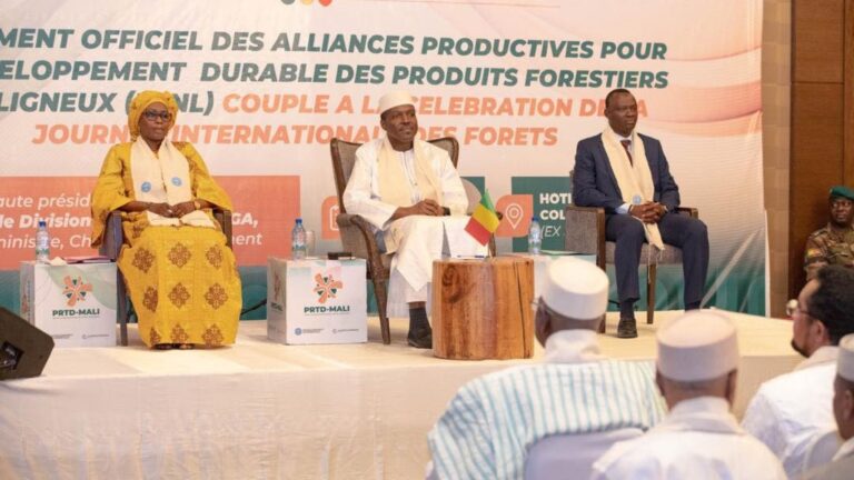 Les alliances productives pour ces produits auront un impact significatif avec 176 000 bénéficiaires directs, 13 000 emplois directs créés et des infrastructures modernes pour faciliter l’accès aux marchés.
