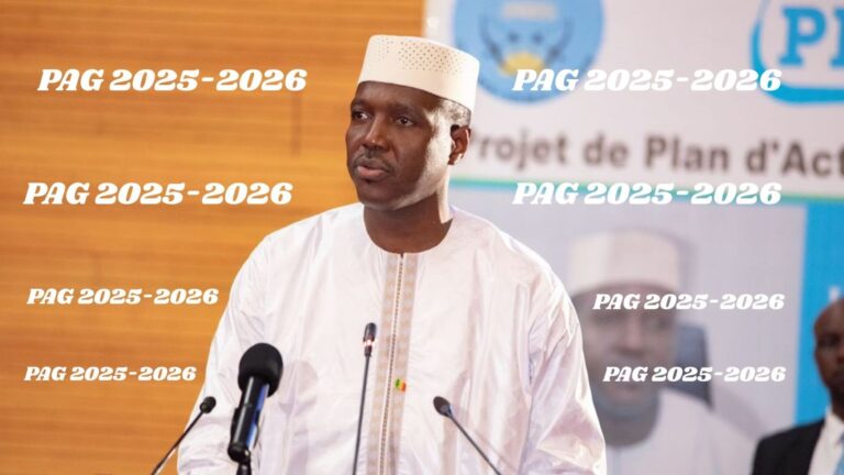 Abdoulaye Maïga-premier ministre Mali