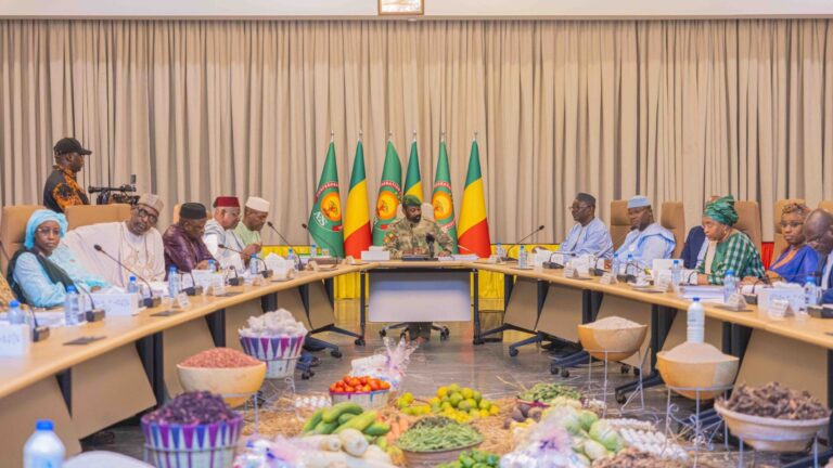 À ce titre, il a annoncé les prix fixés pour la campagne 2025. Le kilogramme de coton graine (1er choix) est fixé à 300 F CFA ; le sac de 50 kg d’engrais minéraux est subventionné à 14 000 F CFA, celui des engrais organiques à 3 000 F CFA ; le kilogramme de semences de maïs hybride à 1 500 F CFA et celui du biostimulant ovalis à 17 500 F CFA. Il a aussi appelé à renforcer la transformation locale, la commercialisation et l’intégration des chaînes de valeur pour un développement inclusif et durable.