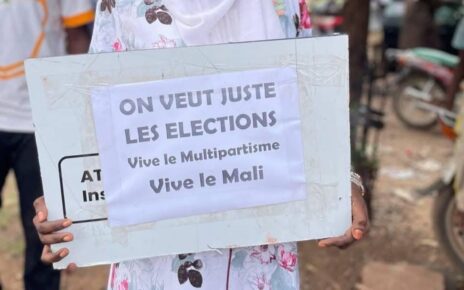 Veuillez activement à la transparence du processus de transition et à la tenue d'élections régulières, conformément à la Constitution