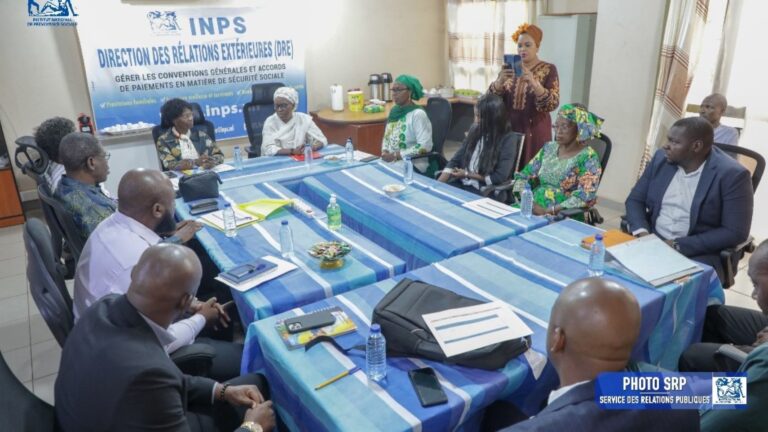 INPS-Réseau des Organisations Citoyennes Participatives ROCP