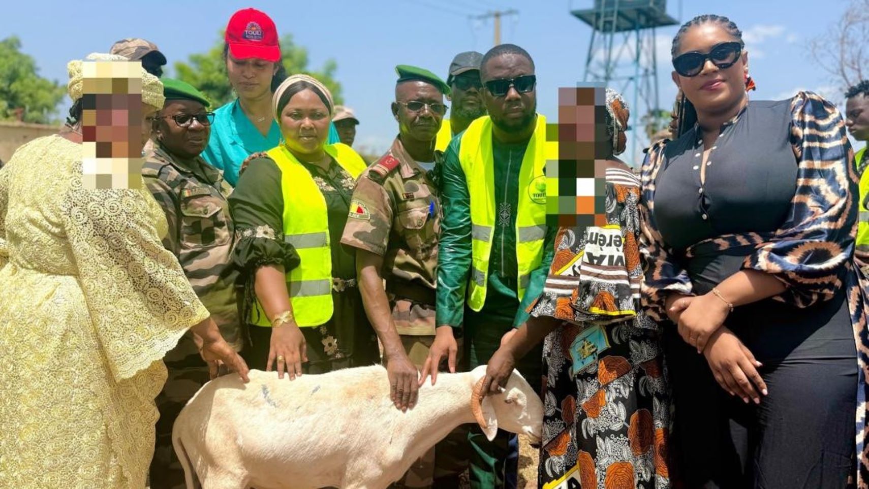 Moutons Touly's Groupe