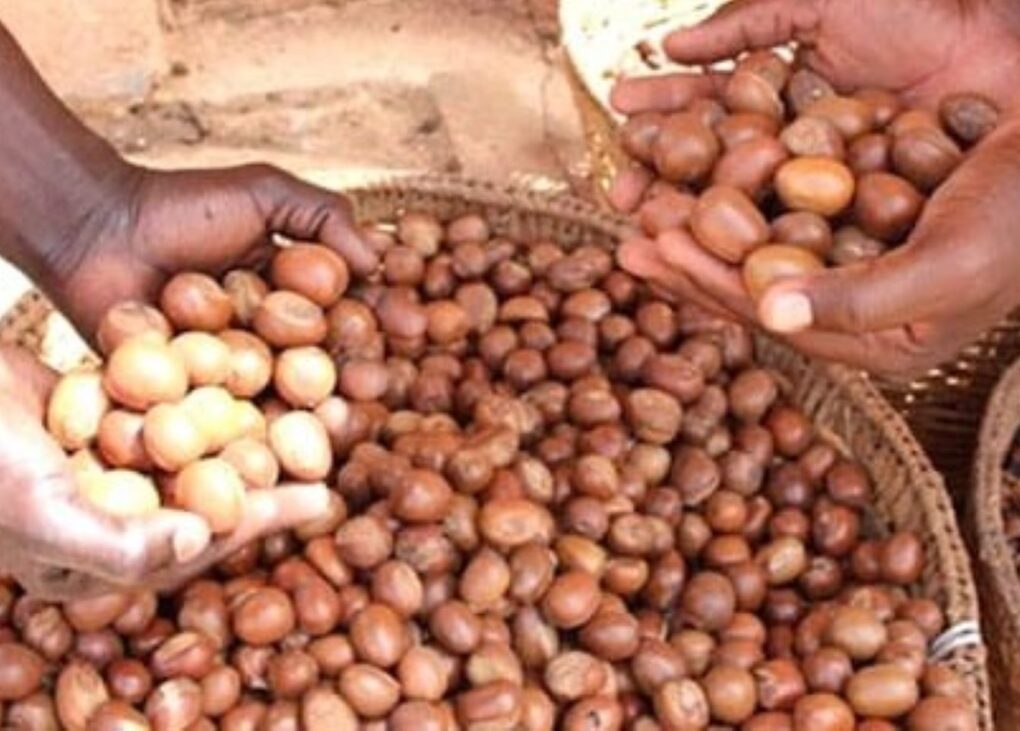 Icimali.com -Informations en temps réel du Mali, d'Afrique et du Monde ...